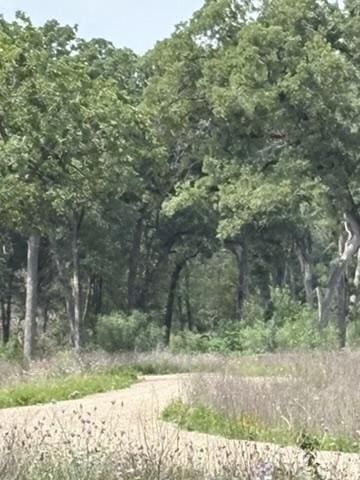 TBD Fm 2104, Paige, TX 78957