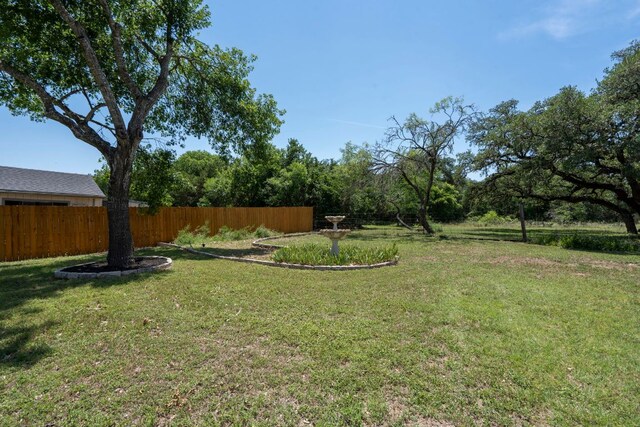 507 Canyon Wren Dr, Buda, TX 78610 - view of yard