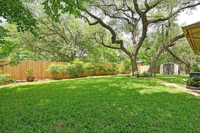 7303 Carlwood Dr, Austin, TX 78759 - view of yard