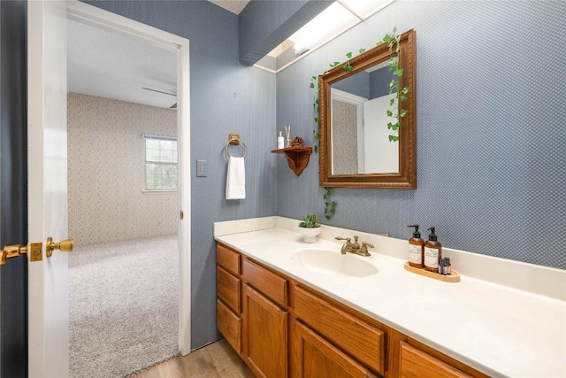 28920 Country Dr, New Braunfels, TX 78132 - bathroom with wood finished floors and vanity