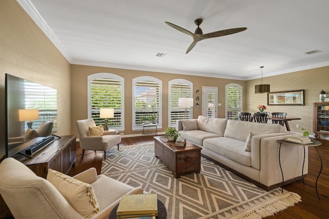 313 Monahans Dr, Georgetown, TX 78628 - living room with wood finished floors, a ceiling fan, crown molding, and healthy amount of natural light
