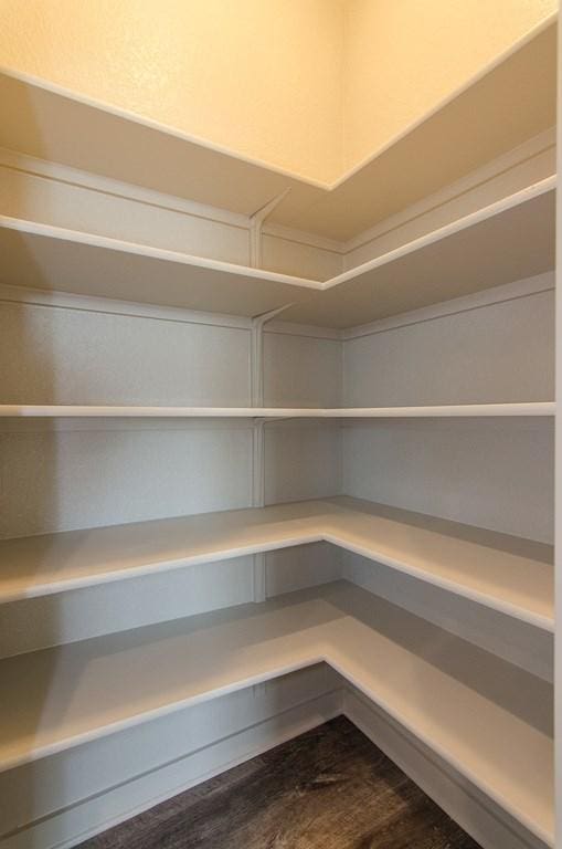 217 Deserti Rd, Leander, TX 78641 - view of pantry