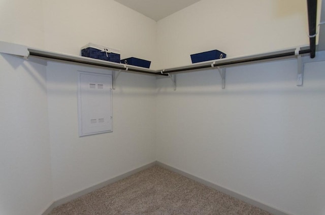 217 Deserti Rd, Leander, TX 78641 - walk in closet with carpet floors