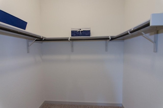 217 Deserti Rd, Leander, TX 78641 - walk in closet with carpet