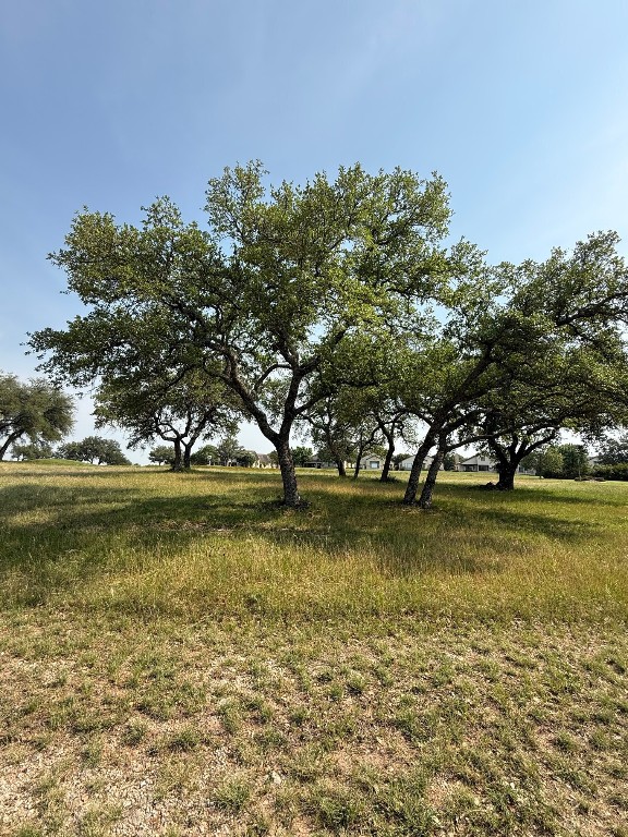 27113 Founders Pl, Spicewood, TX 78669