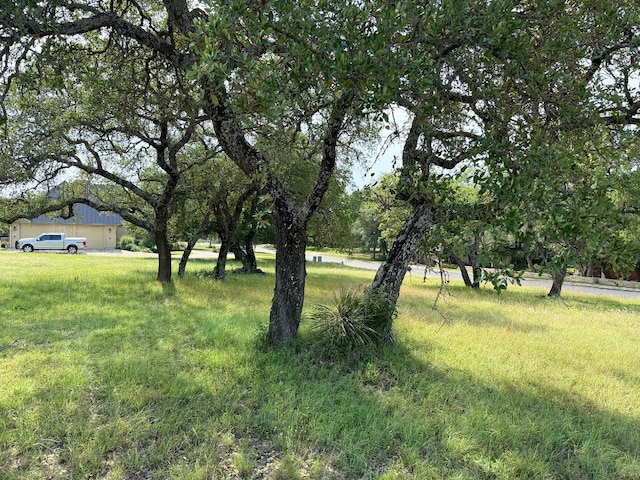 27113 Founders Pl, Spicewood, TX 78669