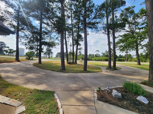 149 Mcallister Rd, Bastrop, TX 78602 - photo 2