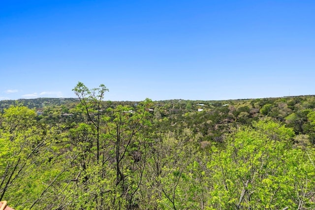 909 Redbud Trl, West Lake Hills, TX 78746 - view of wooded area