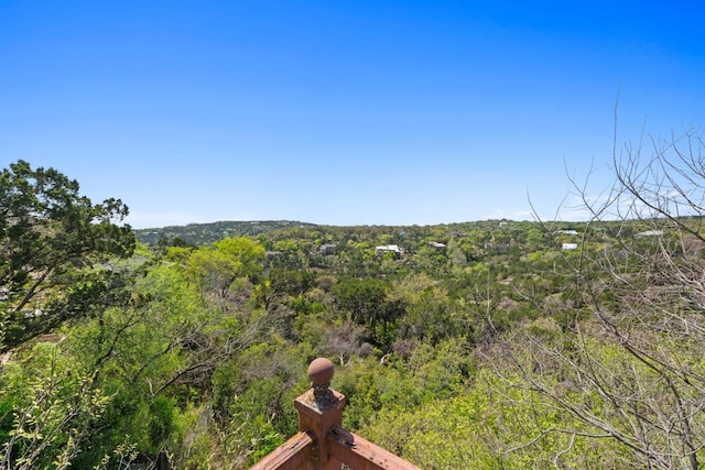 909 Redbud Trl, West Lake Hills, TX 78746 - view of yard featuring a forest view