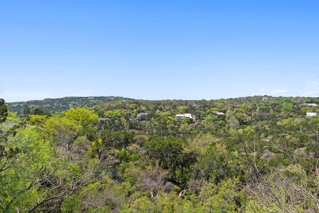 909 Redbud Trl, West Lake Hills, TX 78746 - mountain view with a forest