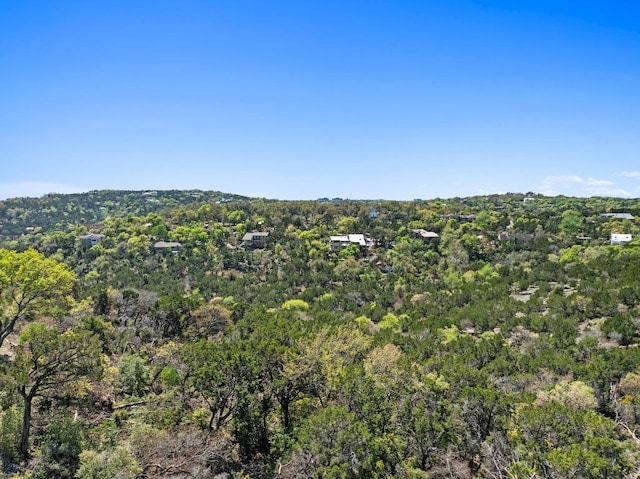 909 Redbud Trl, West Lake Hills, TX 78746 - drone / aerial view of a forest