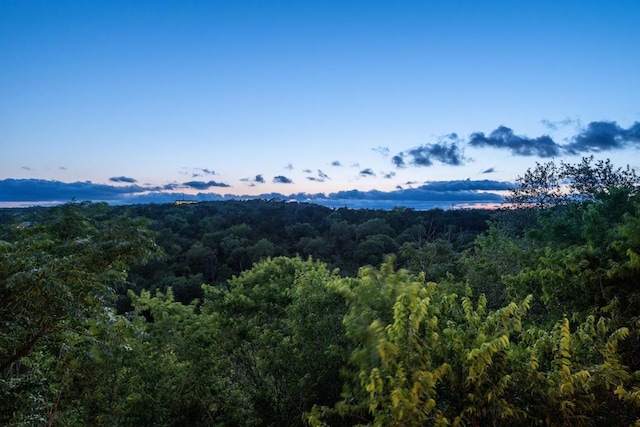 909 Redbud Trl, West Lake Hills, TX 78746 - view of mountain backdrop with a forest