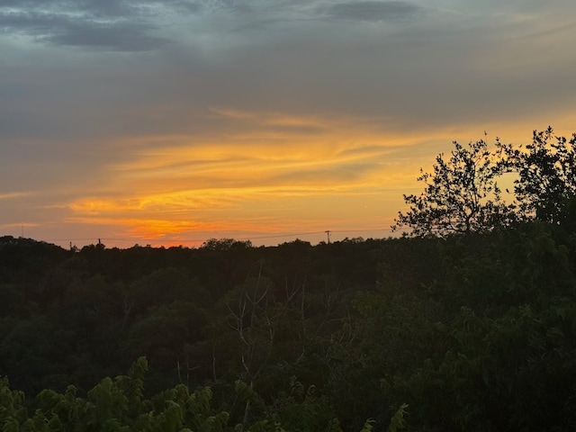 909 Redbud Trl, West Lake Hills, TX 78746 - nature at dusk with a view of trees