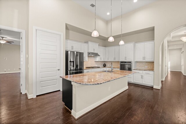 2761 Fishing Hole Cv, Leander, TX 78641 - kitchen with stainless steel appliances, a towering ceiling, under cabinet range hood, arched walkways, and white cabinetry