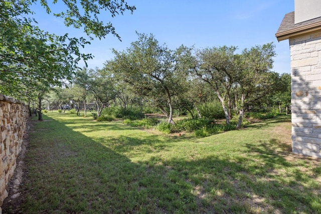 2761 Fishing Hole Cv, Leander, TX 78641 - view of grassy yard