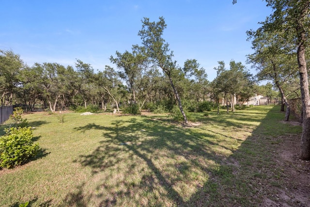 2761 Fishing Hole Cv, Leander, TX 78641 - view of yard