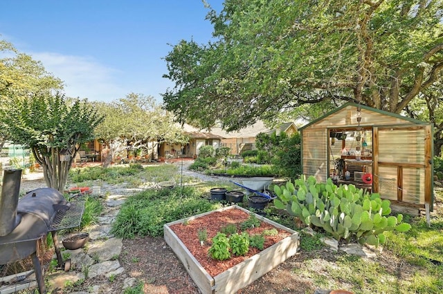 217 Fox Xing, Burnet, TX 78611 - view of yard with a greenhouse, a garden, and an outbuilding