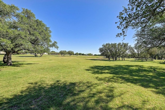 217 Fox Xing, Burnet, TX 78611 - view of green lawn