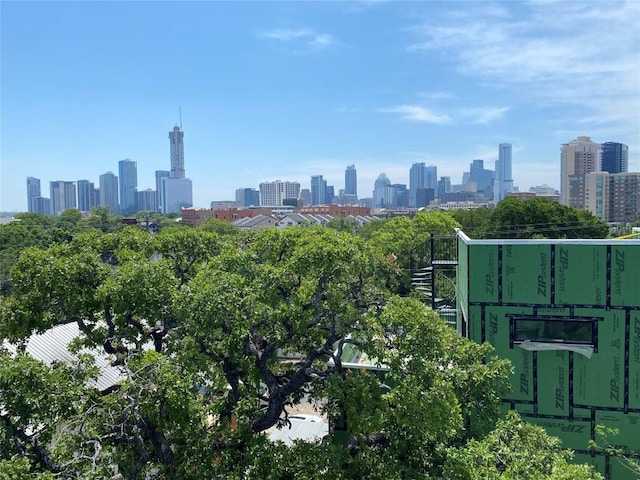1175 Navasota St Unit 1, Austin, TX 78702 - city view