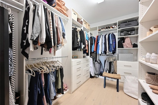 8716 Mina Dr, Austin, TX 78747 - spacious closet with light wood-type flooring