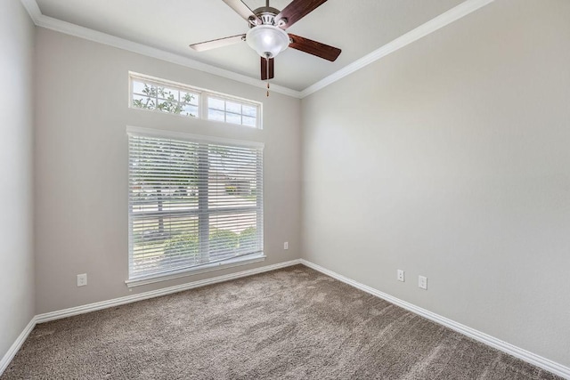 20020 Rhiannon Ln, Pflugerville, TX 78660 - photo 25