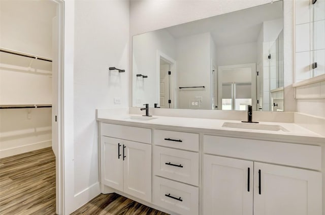 9601 Eloquence Dr, Manor, TX 78653 - bathroom with wood finished floors, double vanity, a spacious closet, and a shower with shower door