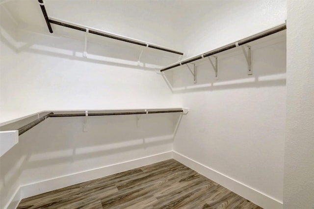 9601 Eloquence Dr, Manor, TX 78653 - spacious closet with wood finished floors