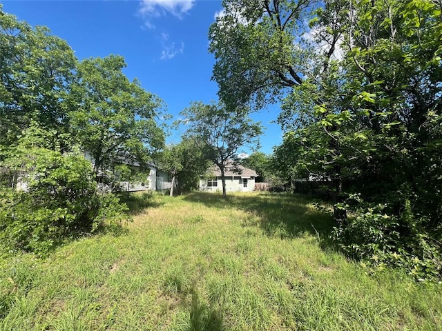 7205 Bethune Ave, Austin, TX 78752 - view of yard