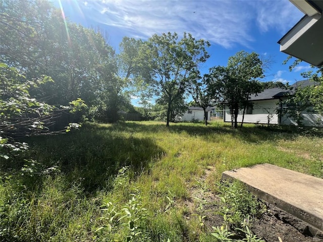 7205 Bethune Ave, Austin, TX 78752 - view of yard