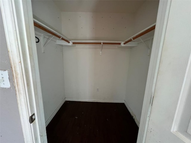 7205 Bethune Ave, Austin, TX 78752 - walk in closet featuring dark wood-style floors