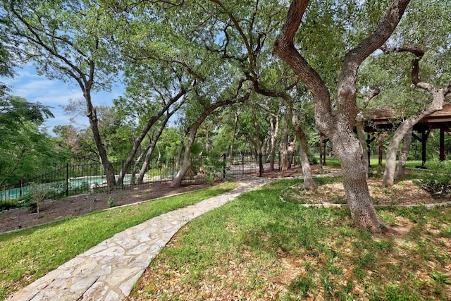 106 Sendera Bonita, Austin, TX 78734 - view of yard