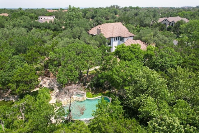 106 Sendera Bonita, Austin, TX 78734 - aerial view of a forest and a pool area