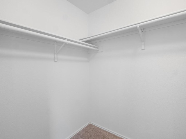 109 Orange Tree Ln, Georgetown, TX 78626 - spacious closet featuring carpet flooring