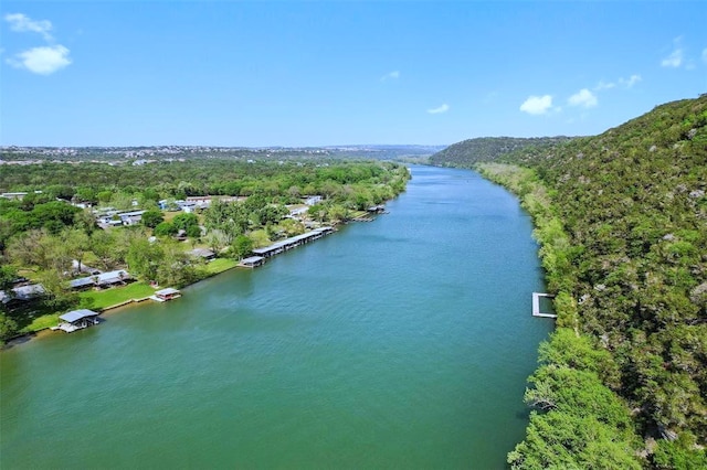 drone / aerial view of a large body of water and a forest