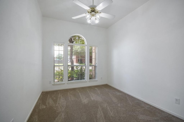 1209 Fenway Park, Pflugerville, TX 78660 - photo 22