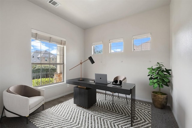 21816 Agarito Ln, Spicewood, TX 78669 - carpeted office space with healthy amount of natural light and baseboards