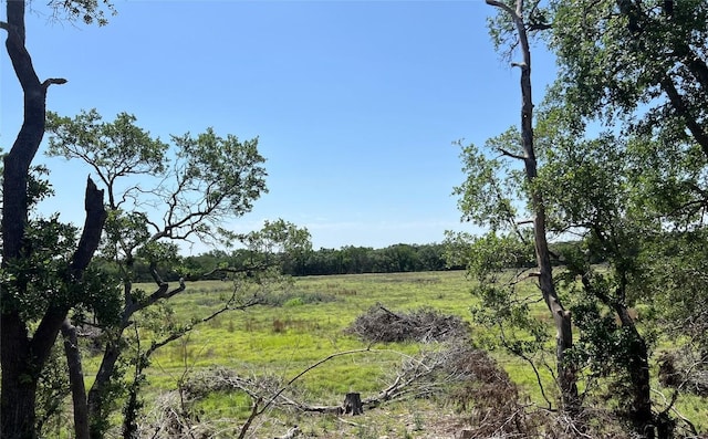 TBD Narrows Rd, Blanco, TX 78606 - photo 2