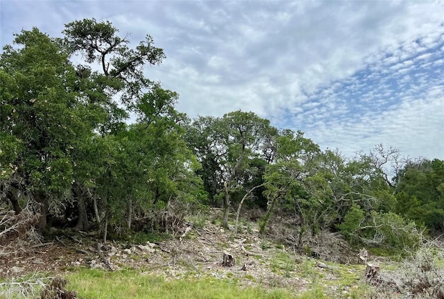 TBD Narrows Rd, Blanco, TX 78606 - photo 3