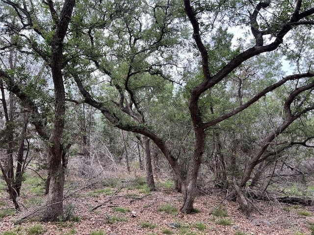 TBD Narrows Rd, Blanco, TX 78606 - photo 6