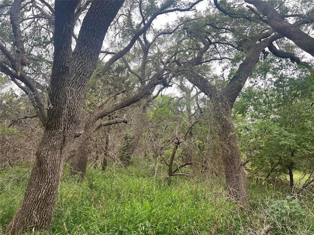 TBD Narrows Rd, Blanco, TX 78606 - photo 7