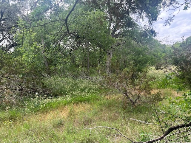 TBD Narrows Rd, Blanco, TX 78606 - photo 8