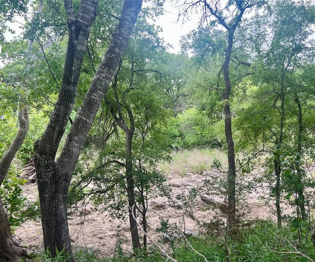 TBD Narrows Rd, Blanco, TX 78606