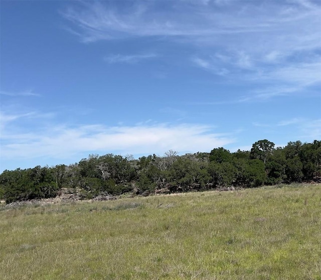 TBD Narrows Rd, Blanco, TX 78606 - photo 4
