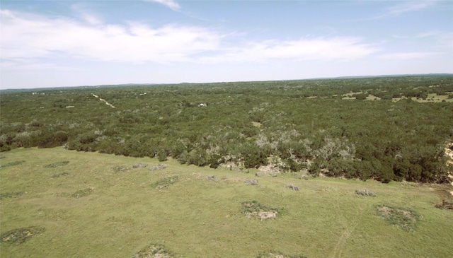 TBD Narrows Rd, Blanco, TX 78606 - photo 10