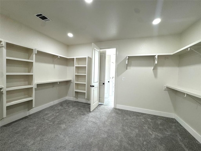 5501 Hollow Loop, Salado, TX 76571 - walk in closet with dark carpet