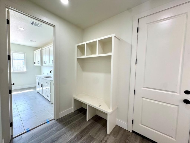 5501 Hollow Loop, Salado, TX 76571 - mudroom featuring a sink, baseboards, dark wood finished floors, and recessed lighting
