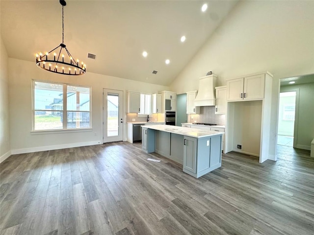 5501 Hollow Loop, Salado, TX 76571 - kitchen featuring custom exhaust hood, a center island, appliances with stainless steel finishes, a chandelier, and high vaulted ceiling