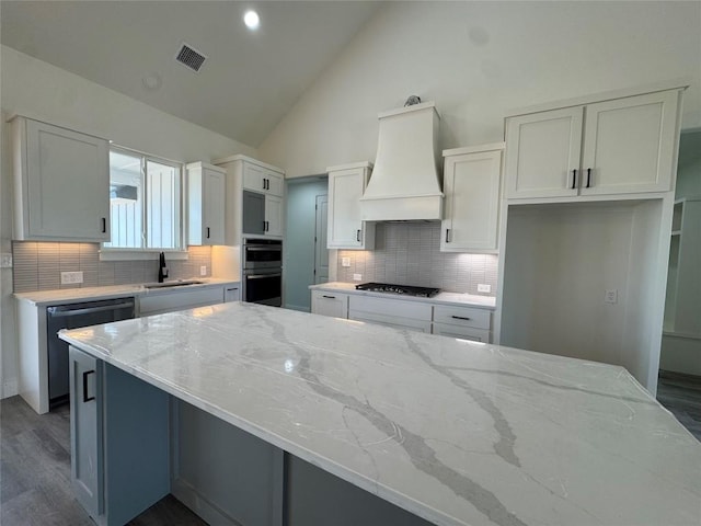 5501 Hollow Loop, Salado, TX 76571 - kitchen featuring stainless steel appliances, custom exhaust hood, a sink, light stone countertops, and dark wood-type flooring