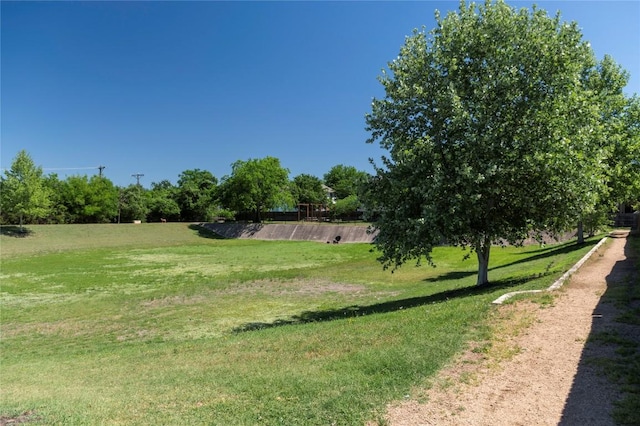 view of grassy yard