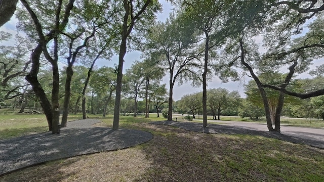 1127 Penion Dr, Austin, TX 78748 - surrounding community